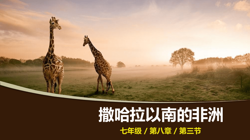 人教版七下8.3撒哈拉以南的非洲  课件（共43张PPT）