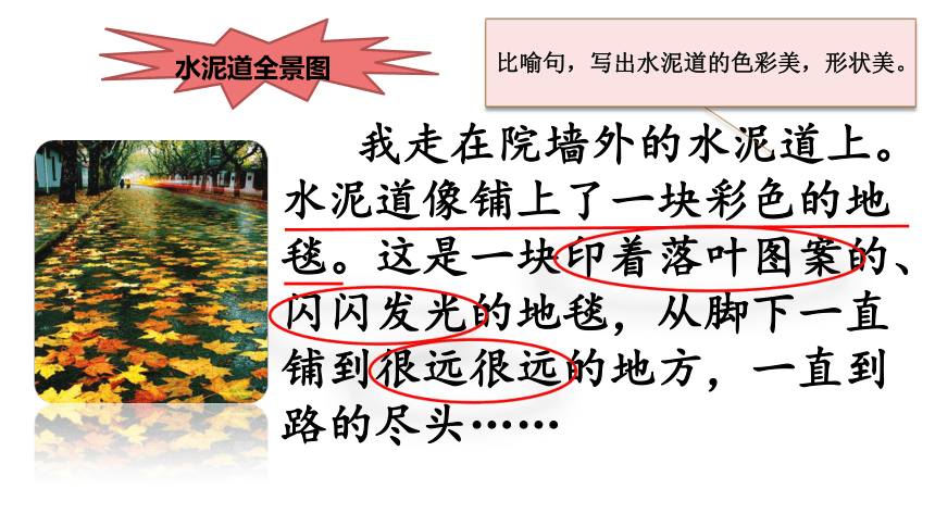 5.《铺满金色巴掌的水泥道》第二课时课件(共18张PPT)