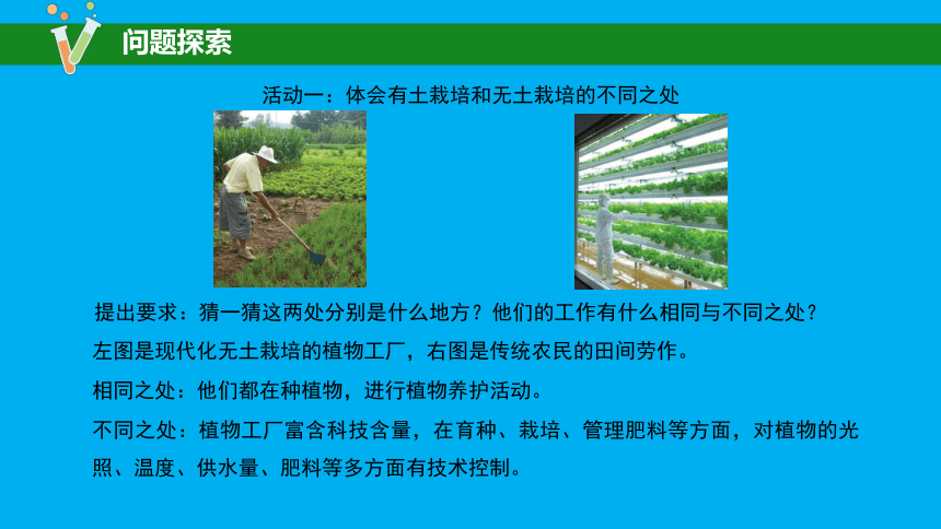 科学苏教版（2017秋）六年级上册16 人造肥料与现代农业 课件（共23张PPT）