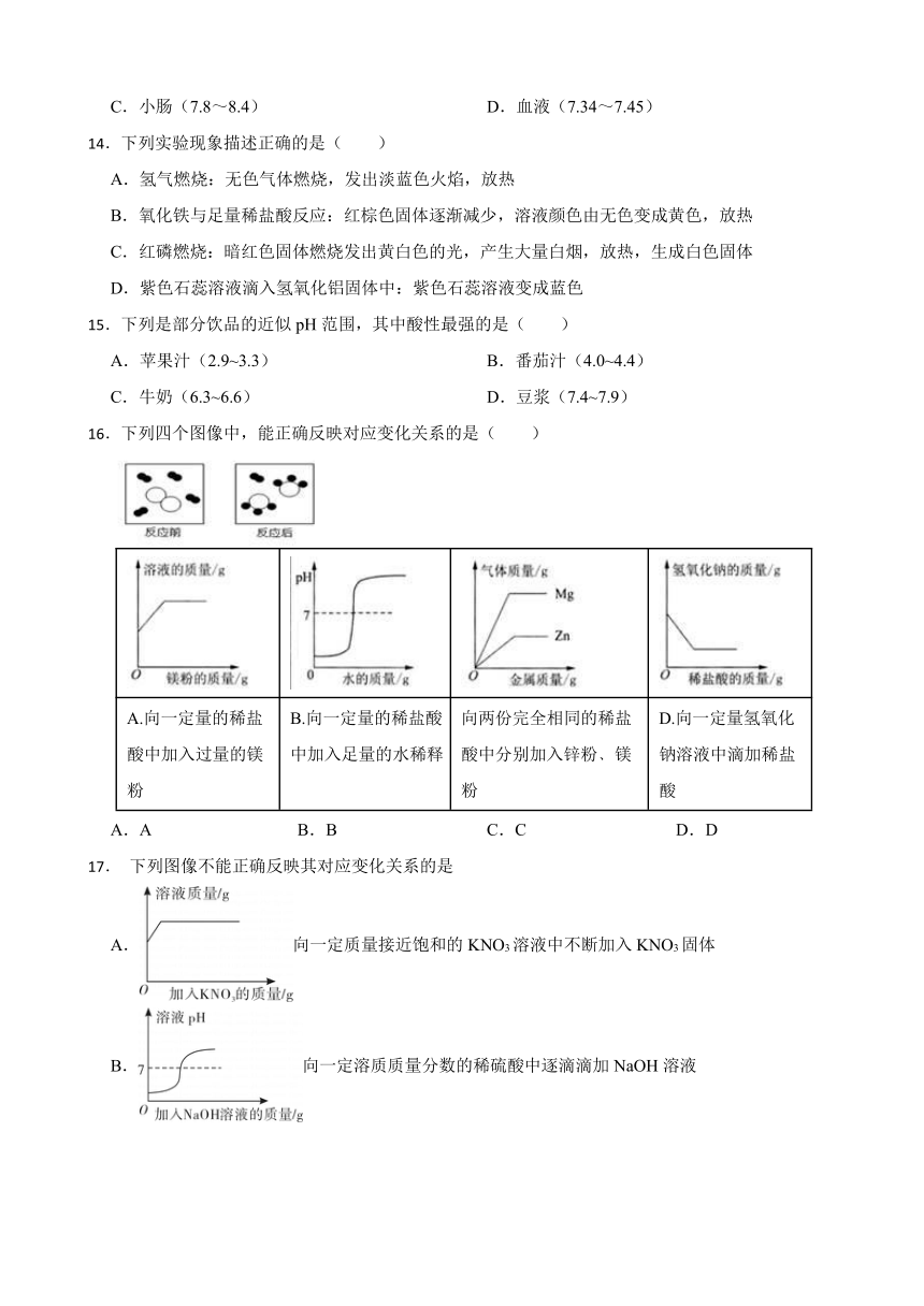 2024年中考化学沪教版（全国）一轮复习题——溶液的酸碱性(含解析)