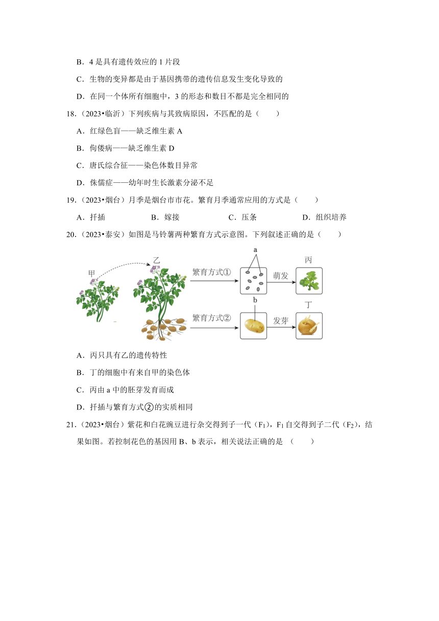 专题5生物的生殖、发育与遗传——2022-2023年山东省中考生物试题分类（含解析）