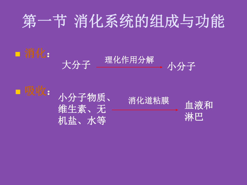 1 食物的消化与吸收 课件(共18张PPT)- 《食品营养与卫生学》同步教学（轻工业版）