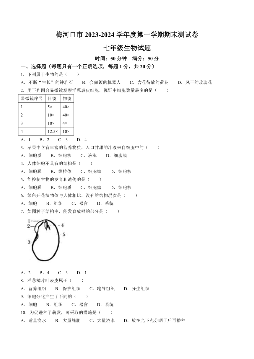 吉林省通化市梅河口市2023-2024学年七年级上学期期末测试生物试题（含答案）