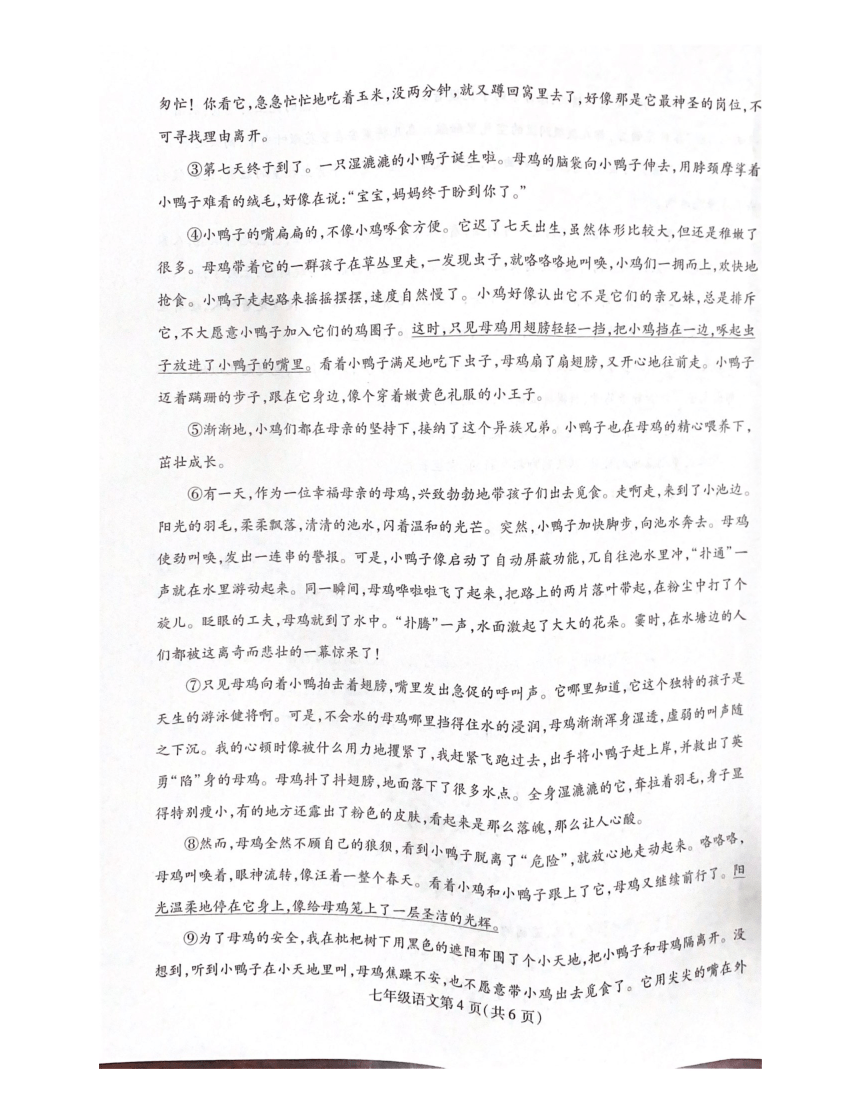 河南省许昌市禹州市钧台街道办事处中心学校2023-2024学年七年级上学期11月期中语文试题（图片版，含答案）