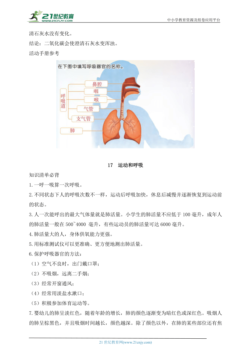 三年级科学上册（苏教版）第五单元 人的呼吸和消化 划重点（知识归纳）