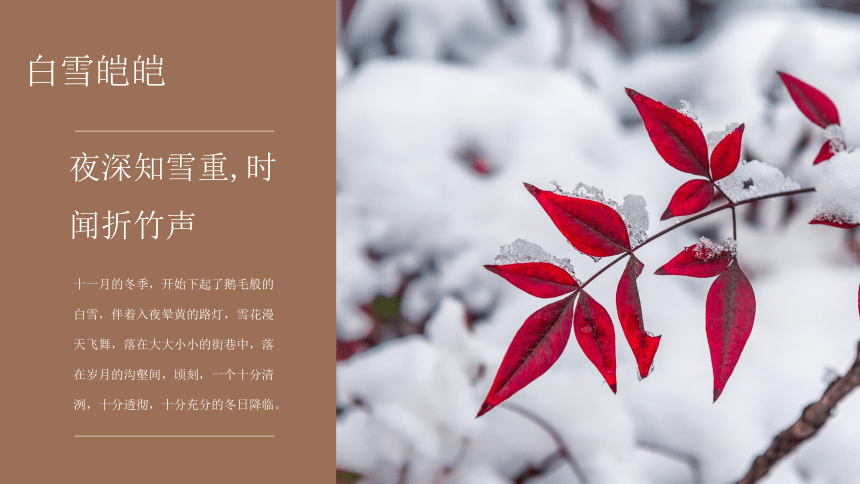2.济南的冬天课件（共28张ppt）