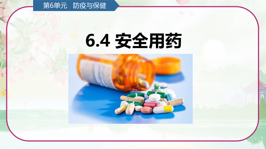 第6单元   防疫与保健 6.4 安全用药《 安全用药》（课件）(共13张PPT) 青岛版六年级科学上册