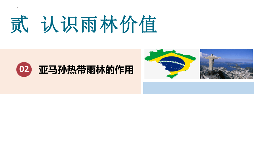 9.2 巴西 第2课时 课件(共20张PPT)人教版七年级地理下册