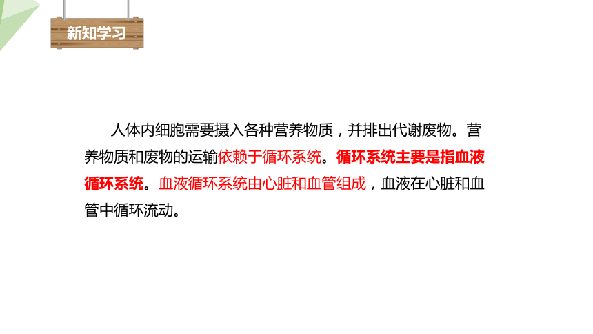 4.9.1 血液 课件（共22张PPT） 2023-2024学年初中生物北师版七年级下册