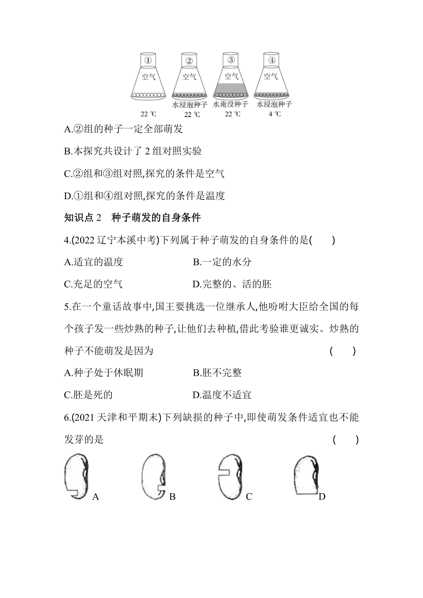 3.2.1.1种子萌发的条件素养提升练（含解析）人教版生物七年级上册