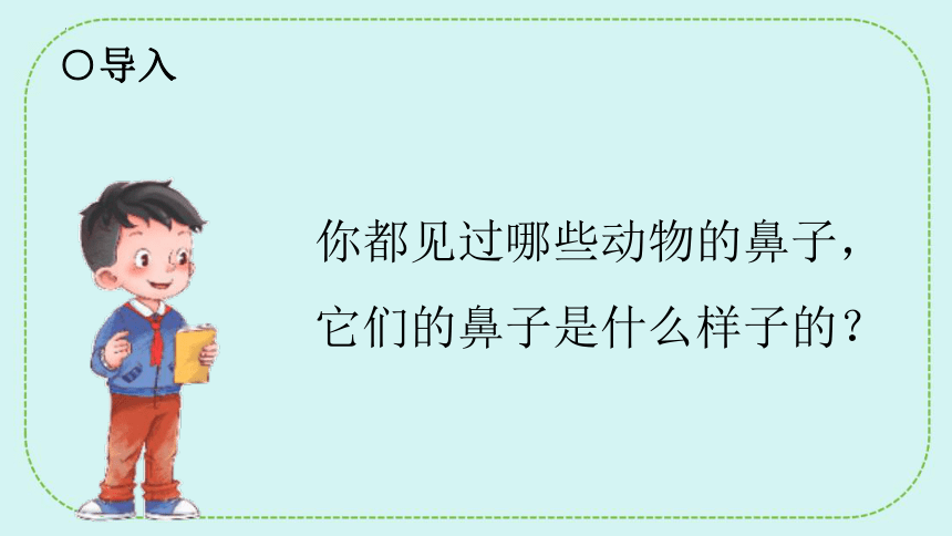 青岛版（六三制2017秋）科学二年级下册 第四单元 动物感知环境 13动物的鼻子 课件(共26张PPT)