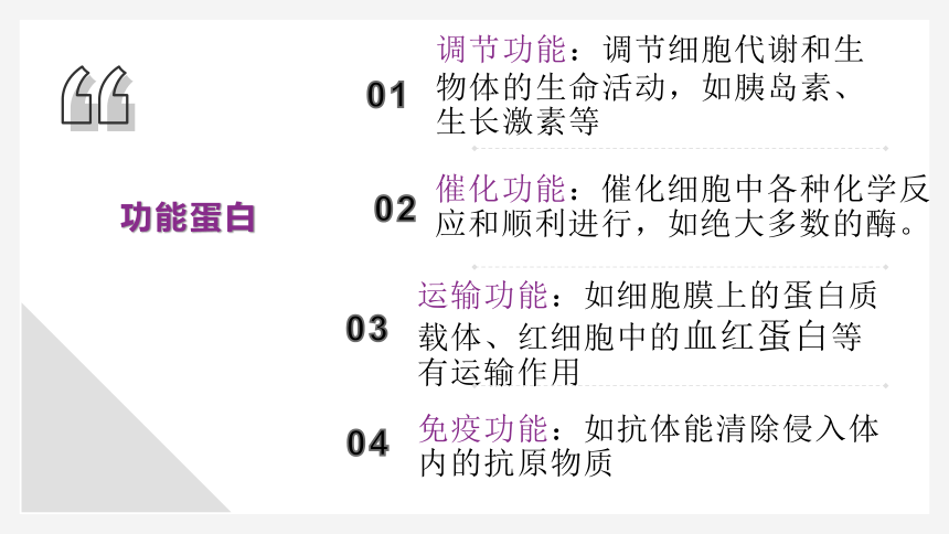 2.4蛋白质是生命活动的主要承担者课件(共30张PPT)-人教版（2019）必修1