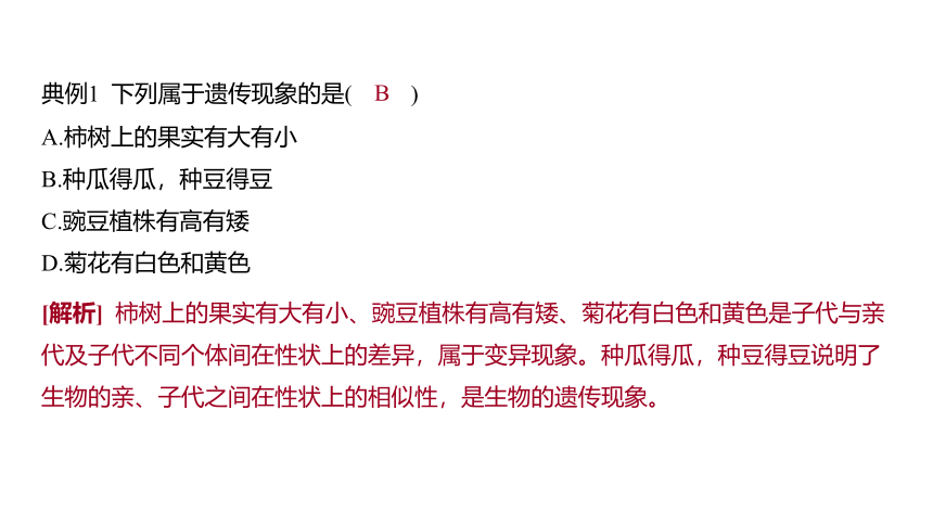 1.5遗传与进化（课件 29张PPT 学案)