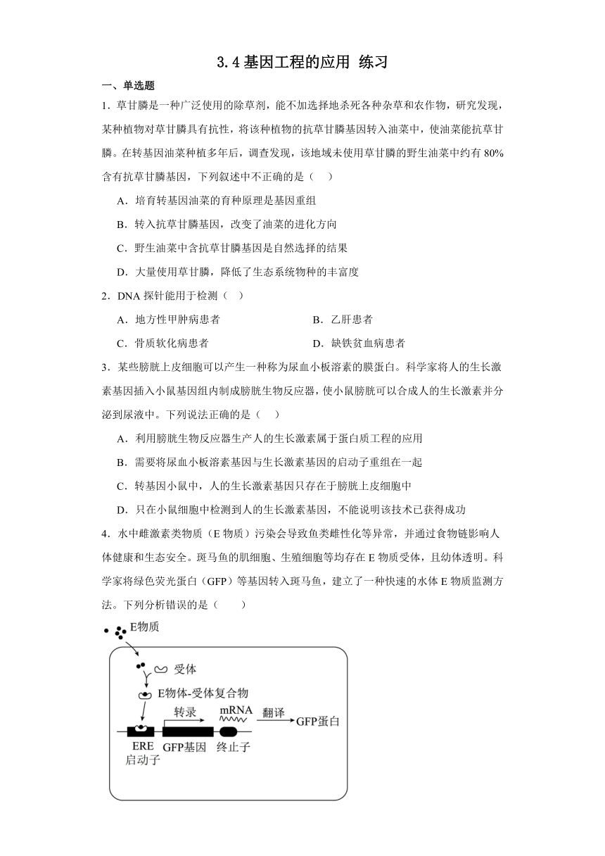 3.4基因工程的应用 练习 2023-2024学年高中生物学北师大版（2019）选择性必修3（含解析）