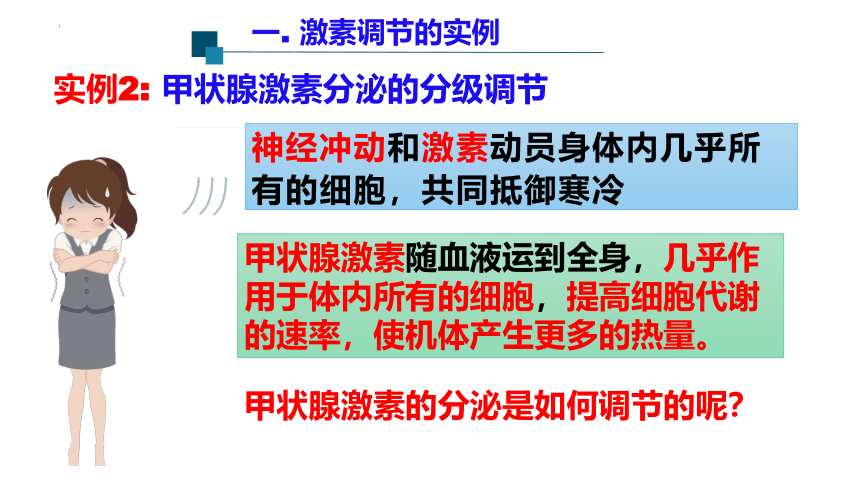 3.2激素调节的过程第2课时课件（共18张PPT1个视频）2023-2024学年高二上学期生物人教版选择性必修1