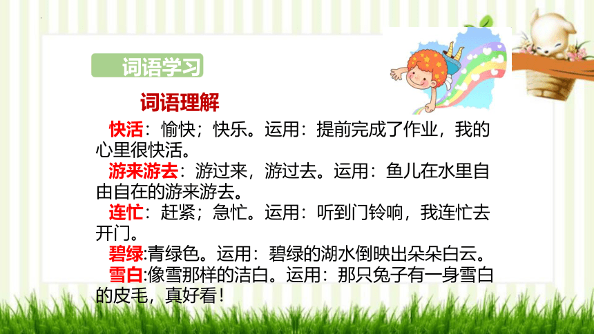 1 小蝌蚪找妈妈 课件(共22张PPT)