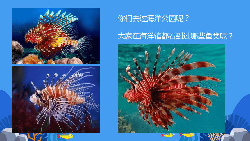 美术社团课程《线描狮子鱼》小学延时服务(共20张PPT)