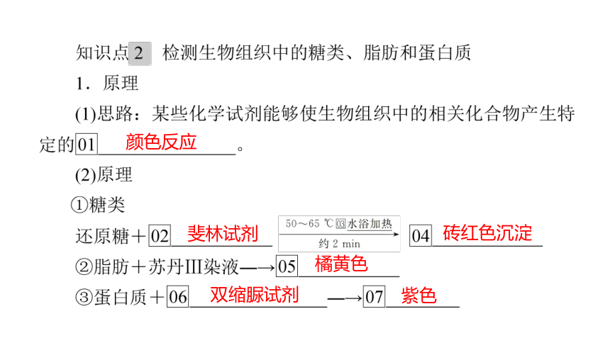 人教生物必修1复习课件：2.1 细胞中的元素和化合物