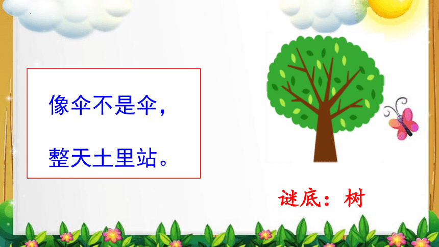 2 树之歌 课件(共21张PPT)