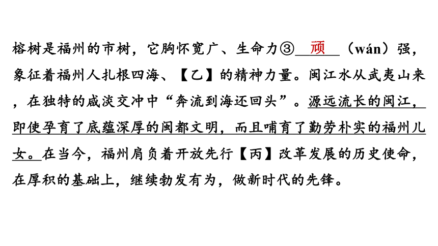 语段综合练-2024年中考语文一轮复习专题课件(共70张PPT)