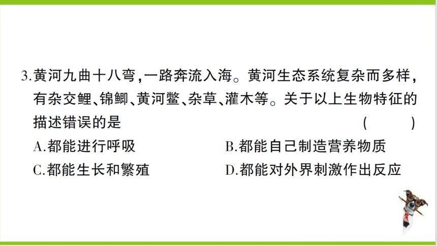 【掌控课堂-创优作业】人教版生物七(上)第一单元第一、二章综合训练 (课件版)