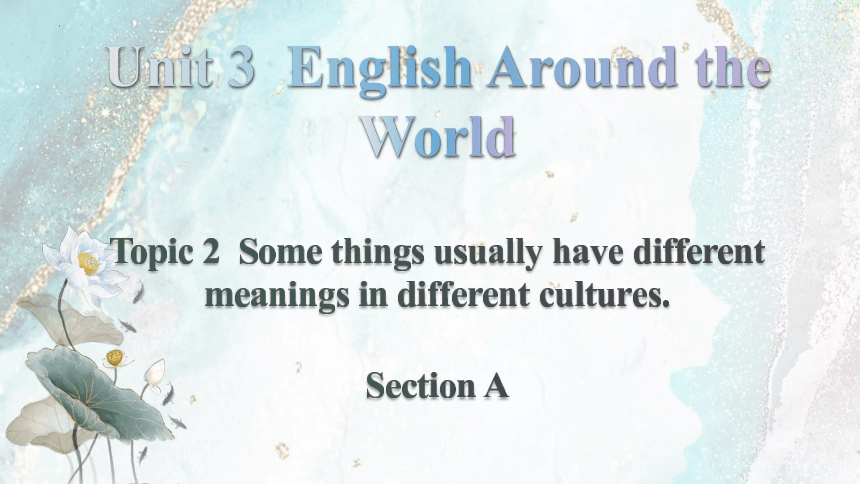 仁爱科普版九年级上册Unit 3 English around the World Section A课件(共34张PPT，内嵌音频)