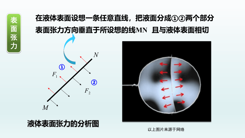 高中物理粵教版（2019）选择性必修第三册 2.4 液体的表面张力 课件(共39张PPT)