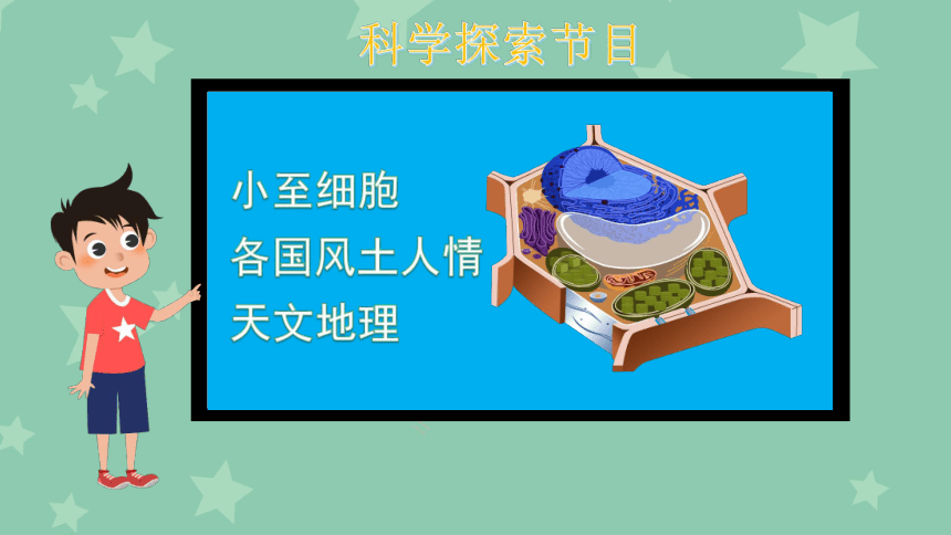 四年级上册3.7 健康看电视 课件 (共32张PPT）