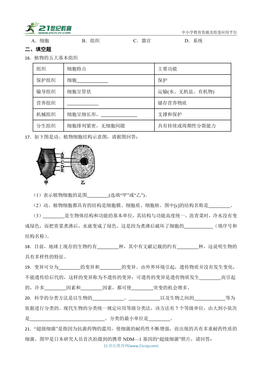 华师大版科学七年级上册期中练习卷4（含答案）