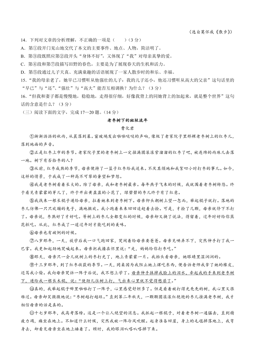 广东省茂名市信宜市2023-2024学年七年级上学期期中语文试题（含答案）