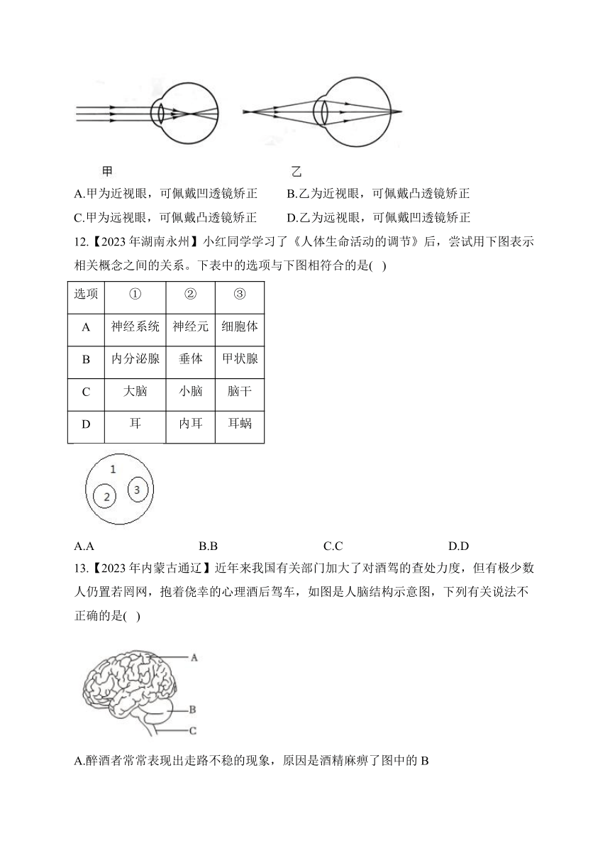 （10）人体生命活动的调节——2023年中考生物真题专项汇编（含答案）