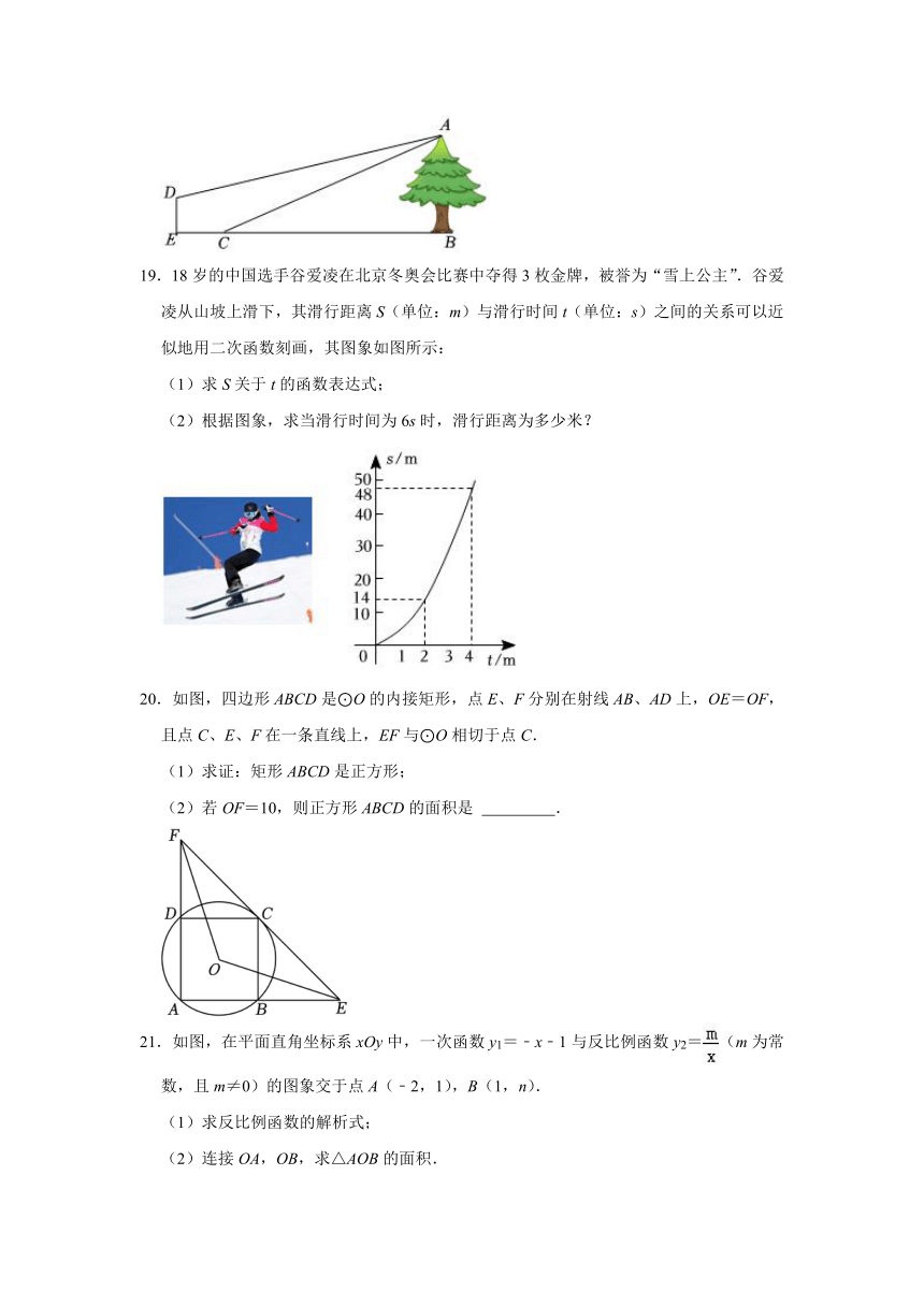 山东省济宁市2023—-2024学年鲁教版（五四制）数学九年级上册期末模拟卷（原卷含解析）