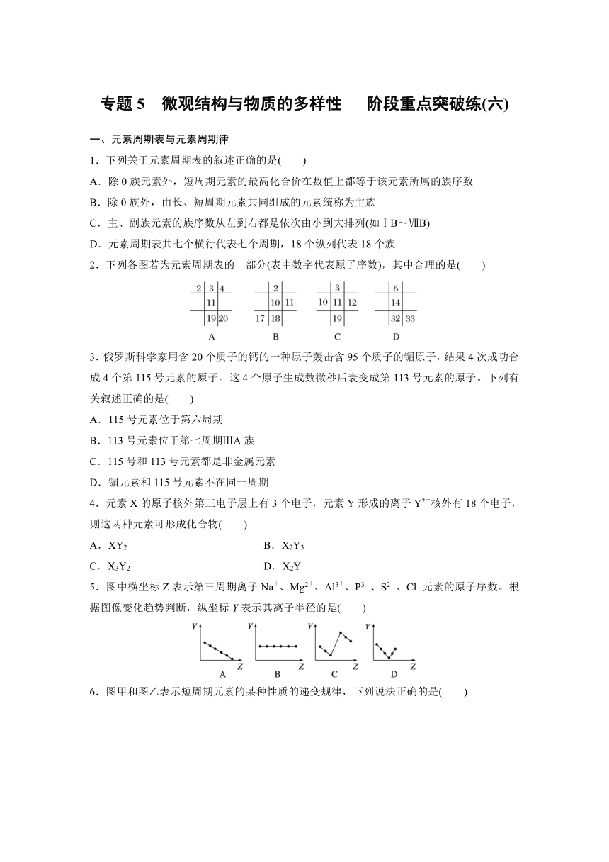 专题5　微观结构与物质的多样性   阶段重点突破练(六) （含答案）—2023-2024学年（苏教版2019）高中化学必修1