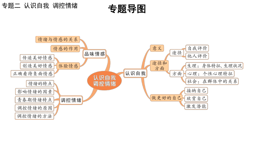 2024年中考道德与法治二轮总复习课件(共73张PPT)：专题二 认识自我  调控情绪