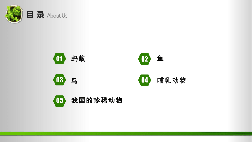 第1单元 动物王国（复习课件）(共24张PPT)-2023-2024学年四年级科学上册期末核心考点集训（青岛版）