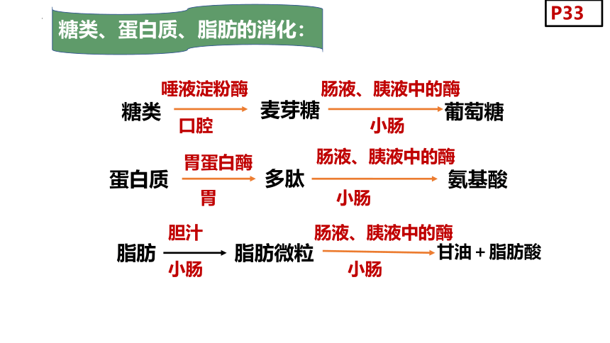 4.9.2人体的消化与吸收课件(共31张PPT) 苏教版生物七年级下册