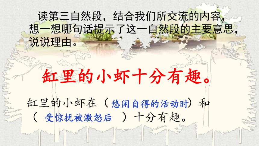 15.《小虾》课件(共24张PPT)