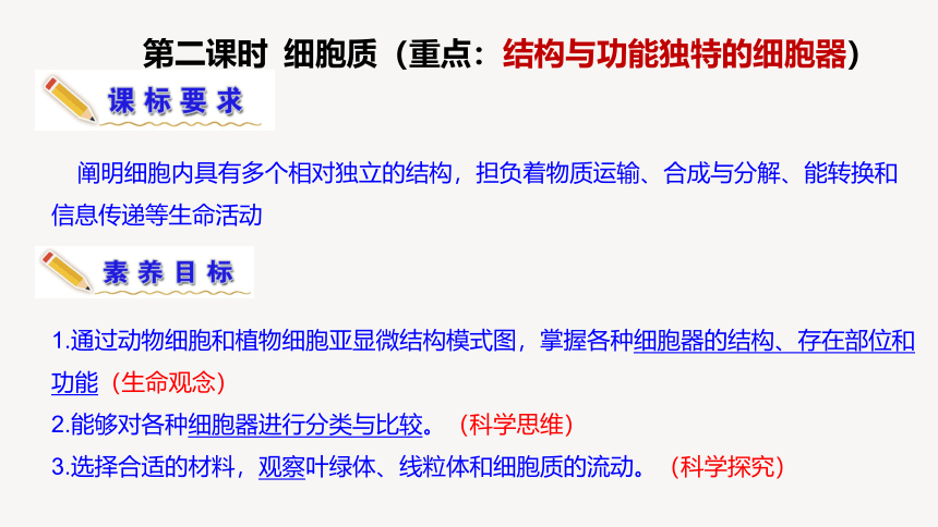 2.2.2 结构与功能独特的细胞器课件(共51张PPT)2023-2024学年高一上学期生物苏教版必修1