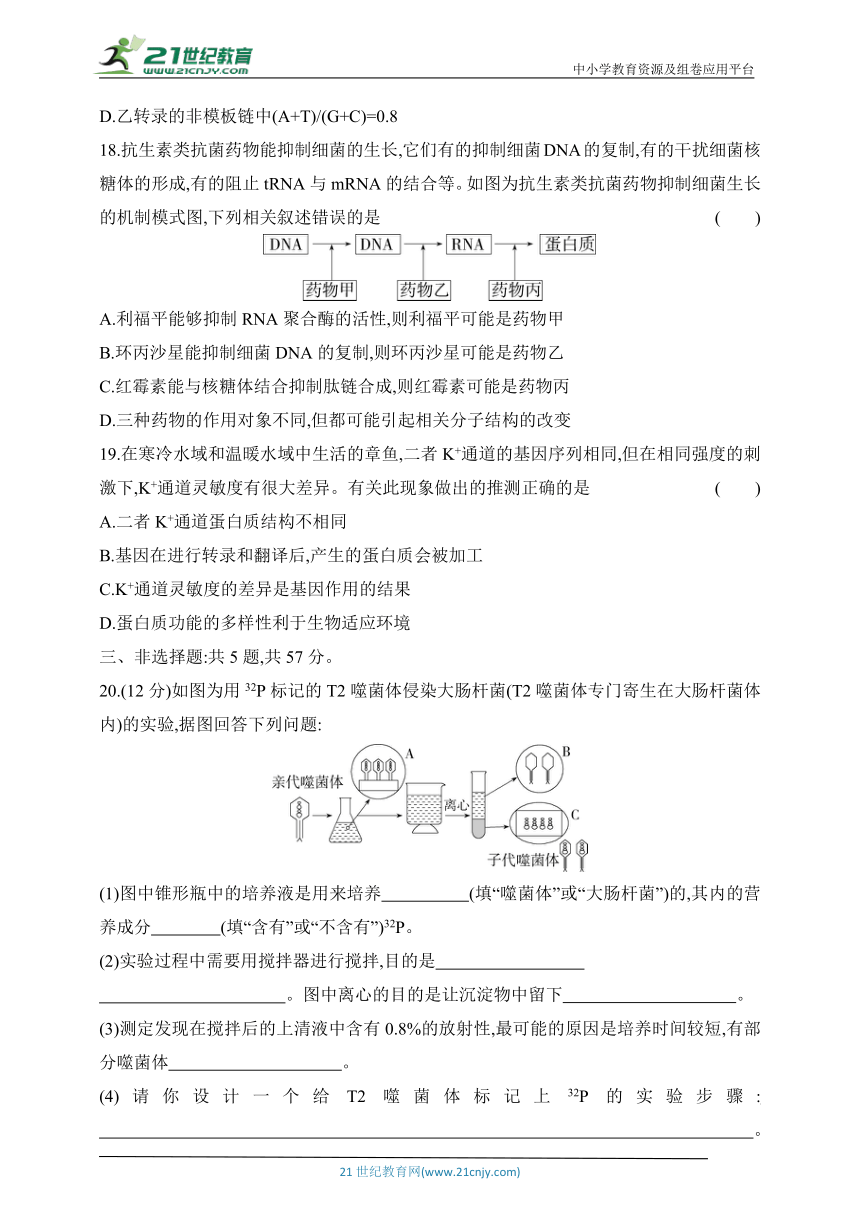 苏教版（2019）高中生物必修2同步练习题：第二章　遗传的分子基础综合测试（含解析）