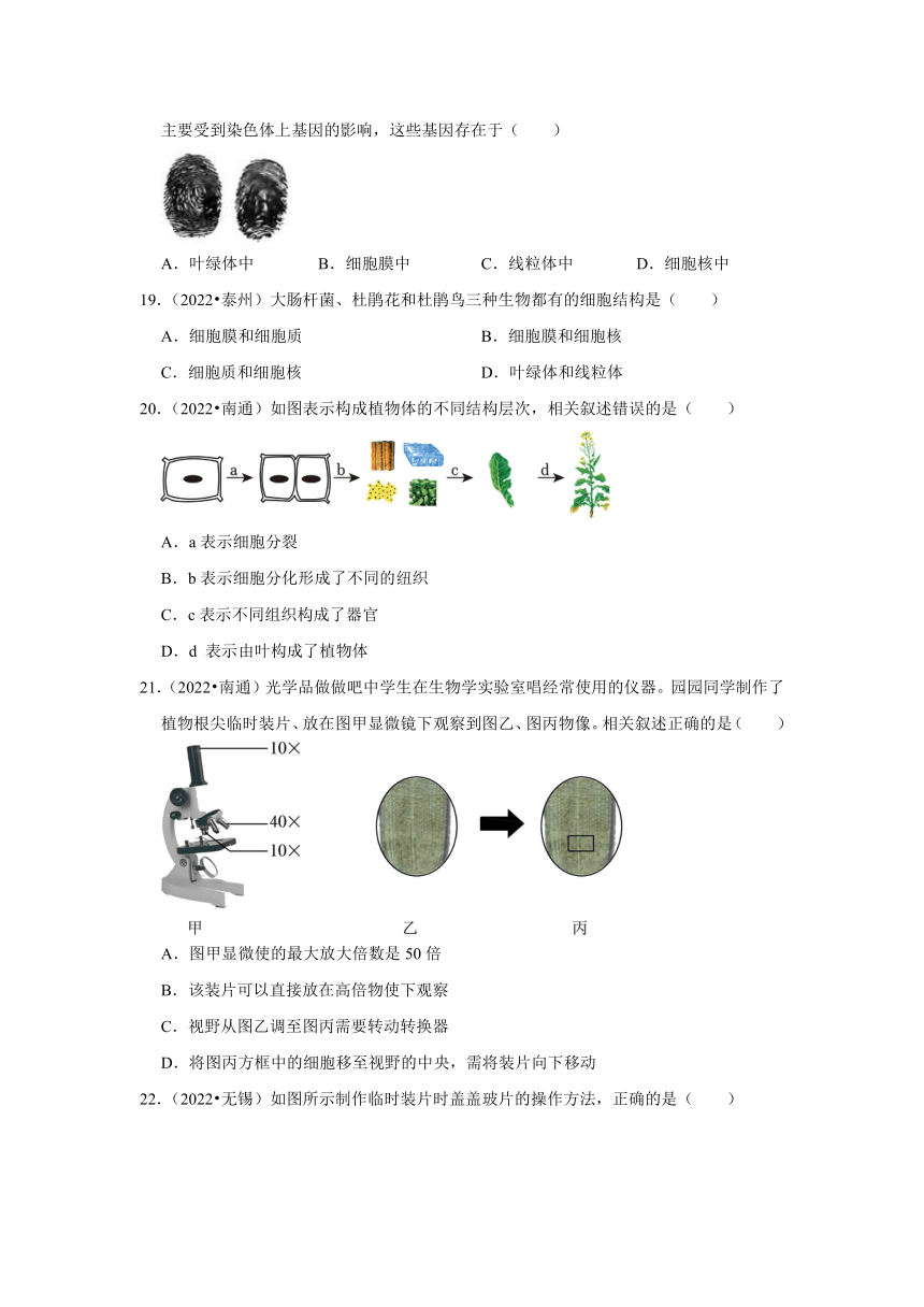 专题1生命体的结构层次——2022-2023年江苏省中考生物试题分类（含解析）