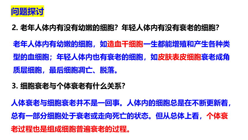 6.3 细胞的衰老和死亡(课件共44张PPT)