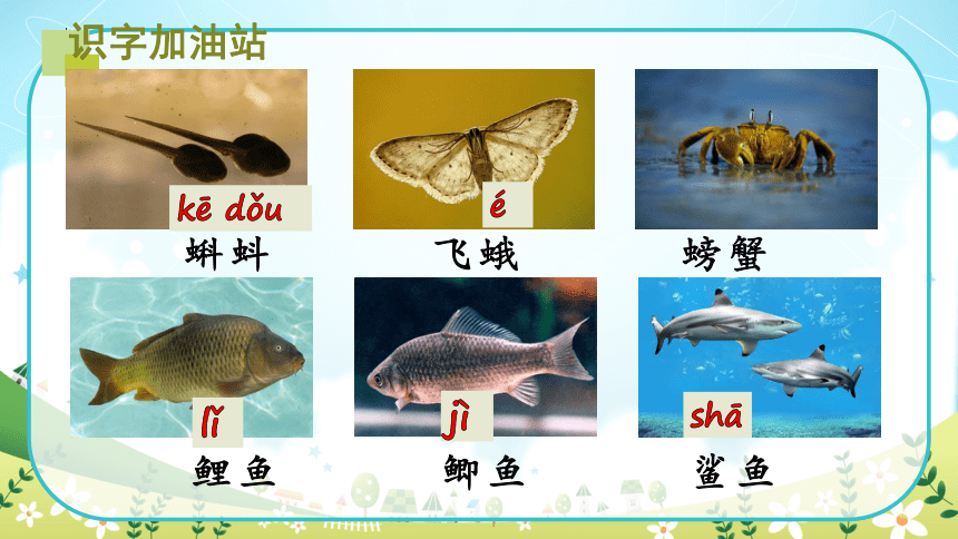 小学语文三年级上册 语文园地六 第二课时 课件(共27张PPT)