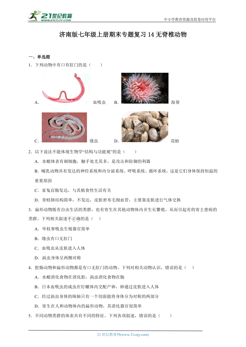 2023-2024学年初中生物济南版七年级上册期末复习专题14——无脊椎动物（含解析）