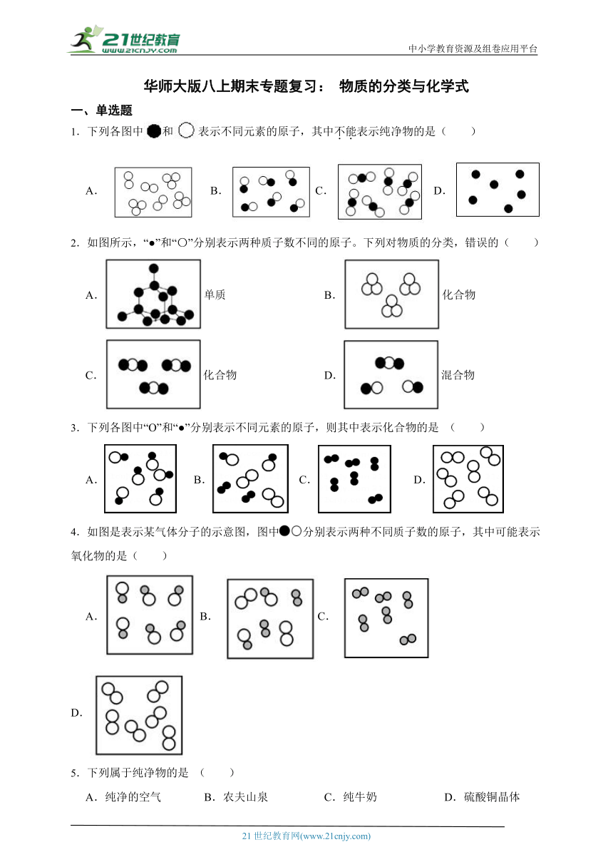 华师大版科学八上期末专题复习： 物质的分类与化学式（含答案）