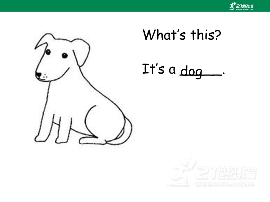 Unit 1 Lesson 2 Cats and Dogs 课件