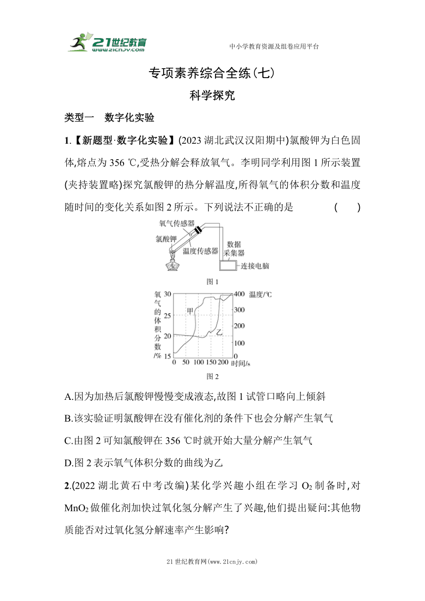 北京课改版化学九年级上册期末复习：07-专项素养综合全练（七） 科学探究