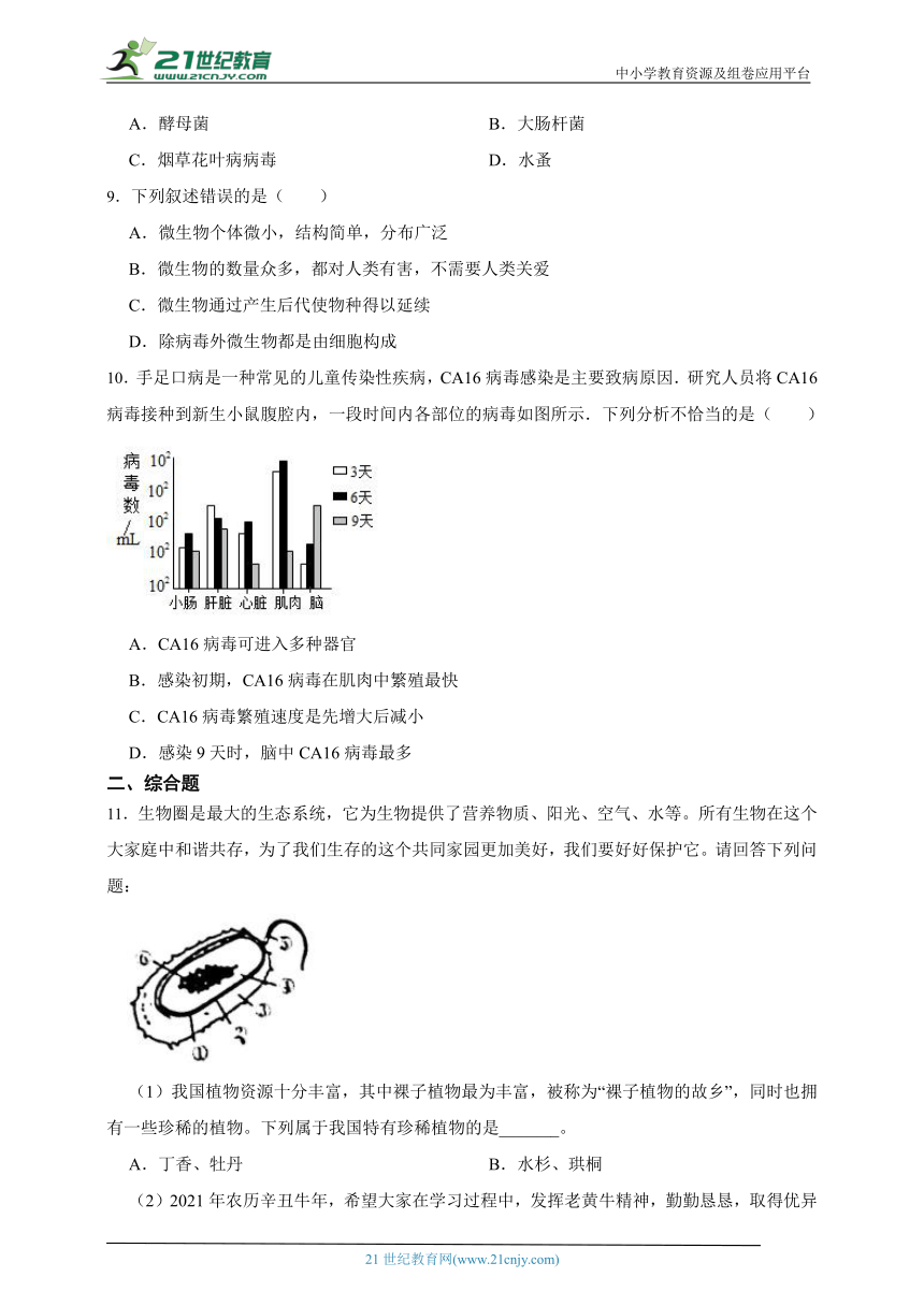 八年级上册5.5病毒一课一练（含解析）