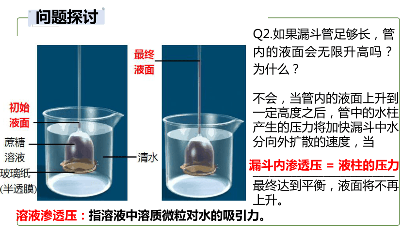 4.1 被动运输课件（共33张PPT、1份视频）人教版必修一