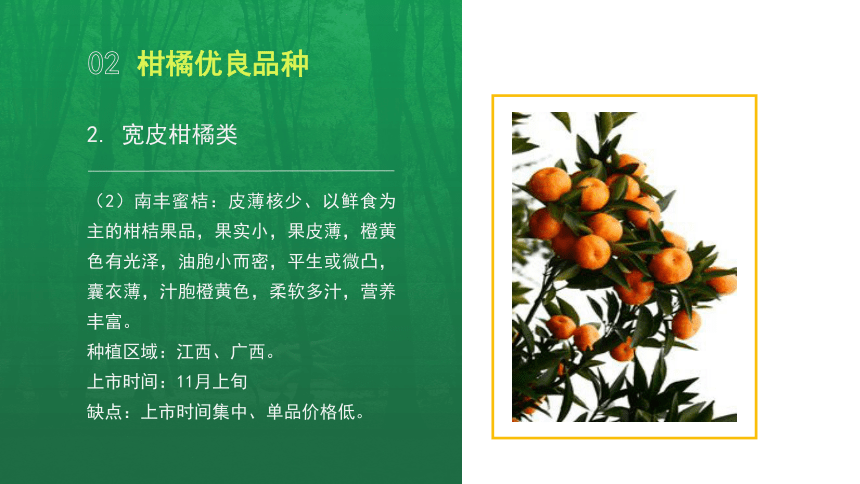 4.1.1柑橘主要种类和优良品种 课件(共28张PPT)-《果树生产技术》同步教学（中国农业出版社）