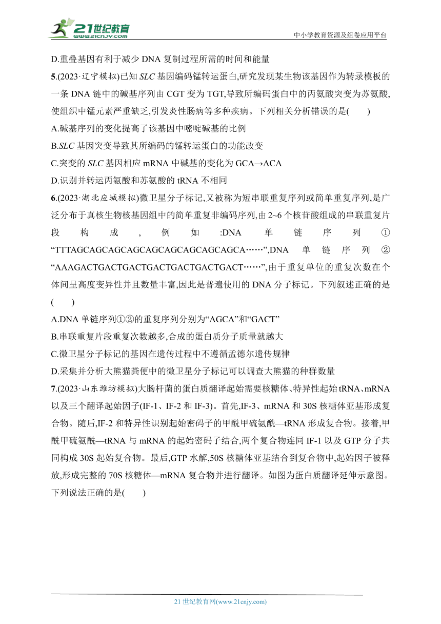 【备考2024】高中生物二轮专题练习  7.遗传的分子基础（含解析）